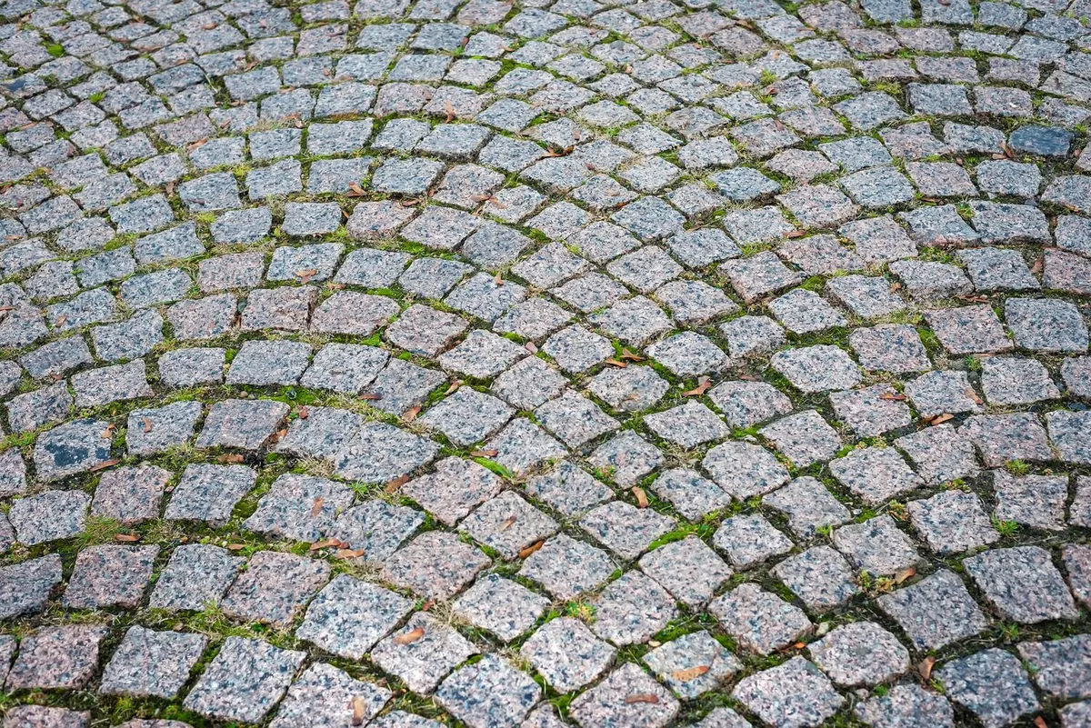 Pavés de granit gris posés en arcs de cercle, mousse verte dans les joints